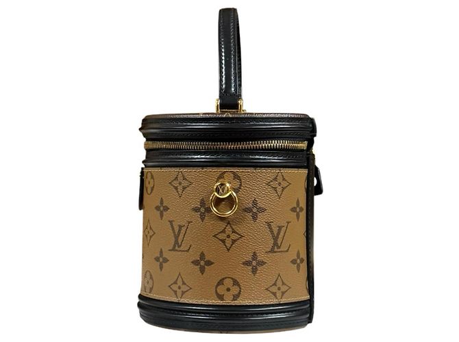 Borsa a tracolla Louis Vuitton Cannes Monogram Reverse Marrone - vista 5