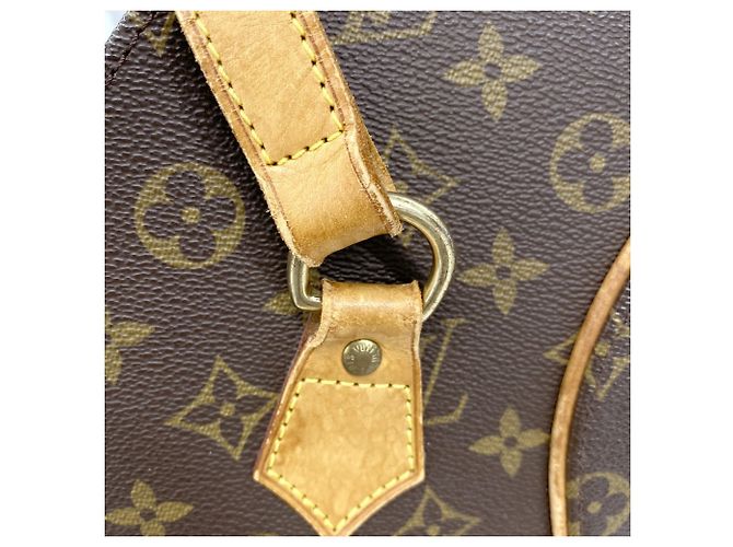 Borsa a tracolla Louis Vuitton Monogram Ellipse Marrone - vista 10