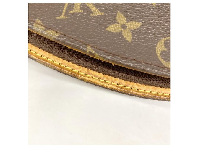 Borsa a tracolla Louis Vuitton Monogram Ellipse Marrone - vista 7