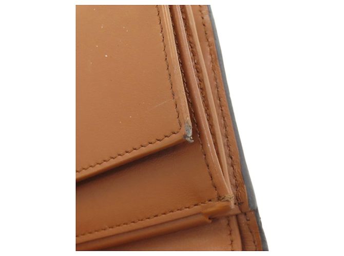 Céline Cartera pequeña con solapa Celine Triomphe Bi-fold Castaño - vista 16