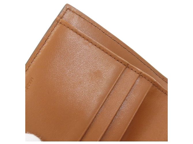 Céline Cartera pequeña con solapa Celine Triomphe Bi-fold Castaño - vista 19