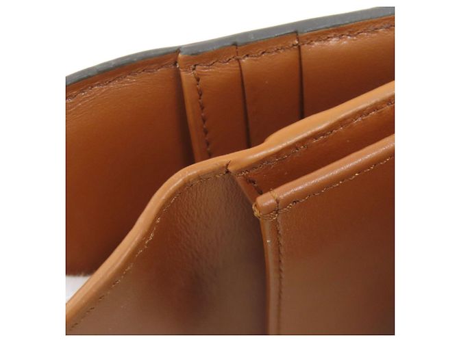 Céline Cartera pequeña con solapa Celine Triomphe Bi-fold Castaño - vista 20