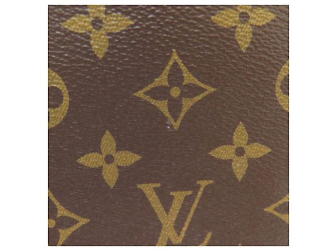 Borsa Louis Vuitton M45900 Petit Palais PM Monogramma - vista 13