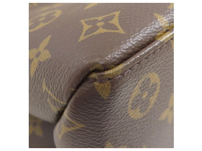 Borsa Louis Vuitton M45900 Petit Palais PM Monogramma - vista 23