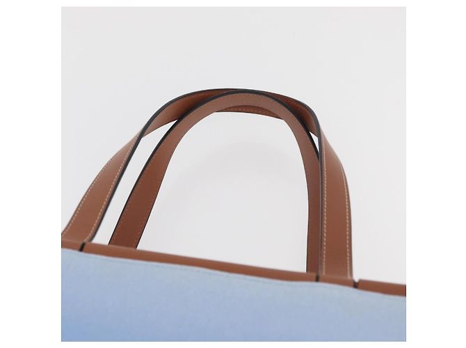 LOEWE LOEWE �~ Studio Ghibli Borsa Medium Totoro & Small Totoro Auth 167358SM Blu chiaro - vista 14