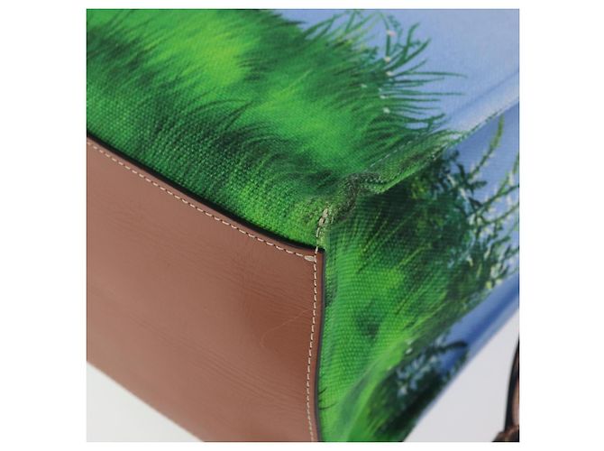 LOEWE LOEWE �~ Studio Ghibli Borsa Medium Totoro & Small Totoro Auth 167358SM Blu chiaro - vista 17