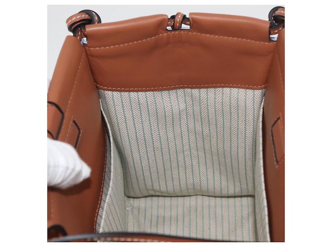 LOEWE LOEWE �~ Studio Ghibli Borsa Medium Totoro & Small Totoro Auth 167358SM Blu chiaro - vista 22