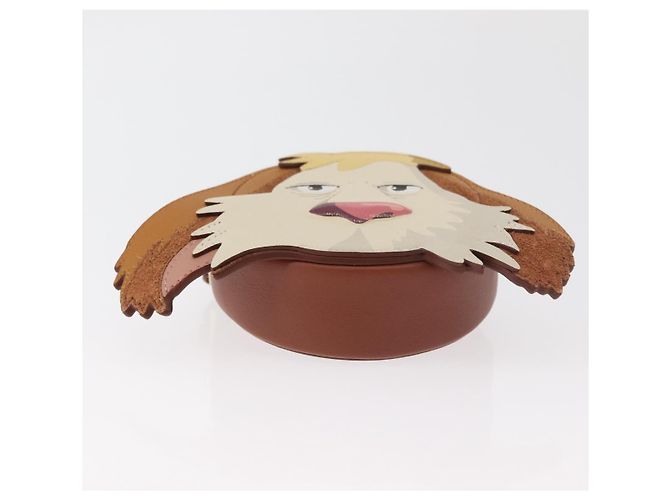 LOEWE Studio Ghibli Cookie Pouch Hin Howl's Moving Castle Auth 167379SM Marrone - vista 5