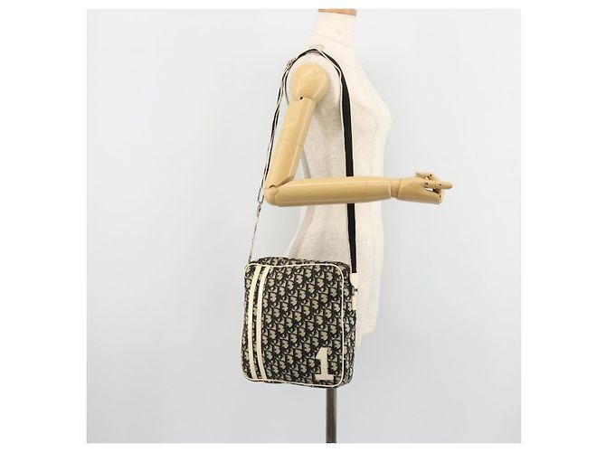 Borsa a tracolla Christian Dior Trotter Canvas PVC Nero Argento Auth 180010 - vista 22