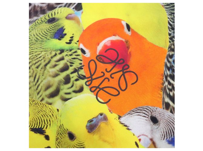 Top a maniche lunghe con mezza zip e stampa pappagallo Anagram di Loewe Multicolore Giallo - vista 5