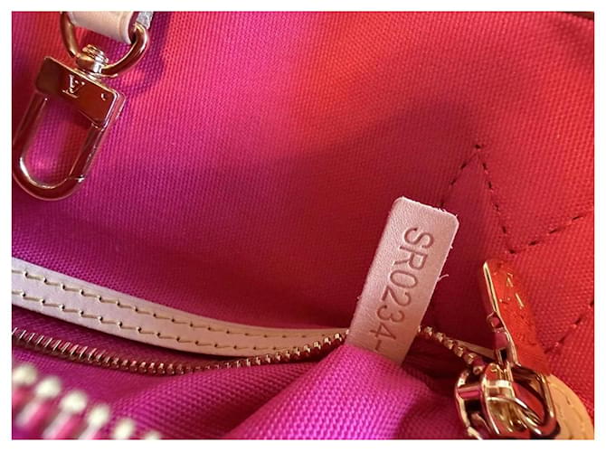 Louis Vuitton Monogram Murakami Neverfull MM Marrone Multicolore - vista 11