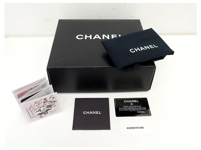 CHANEL BOURSE CORDON A22054 CLUTCH IN PELLE BEIGE BORSA A MANO - vista 14