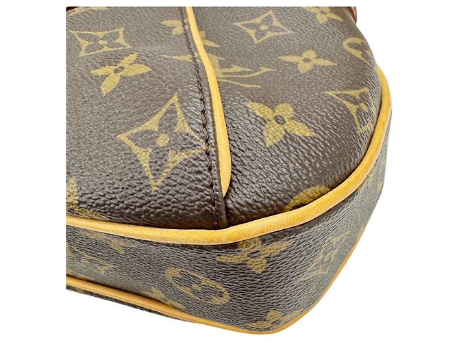 Borsa a Spalla Louis Vuitton Thames PM Monogram Marrone - vista 5