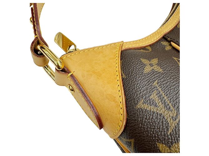Borsa a Spalla Louis Vuitton Thames PM Monogram Marrone - vista 9