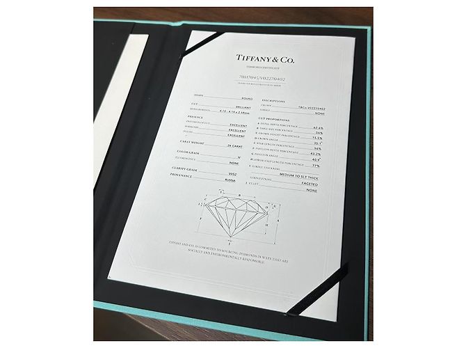 Anillo de compromiso Tiffany & Co. Diamante 0,26 quilates Plata - vista 3