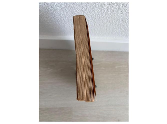 Louis Vuitton Fils Livre Le Voyage Édition 1894 Marron Multicolore Beige - vue 5