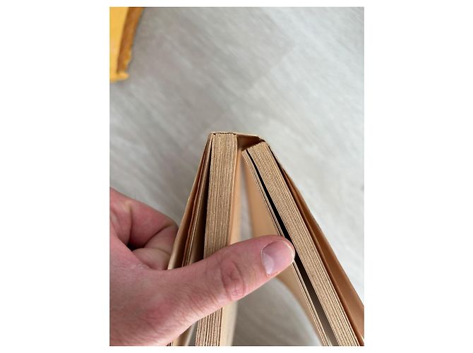 Louis Vuitton Fils Livre Le Voyage Édition 1894 Marron Multicolore Beige - vue 8