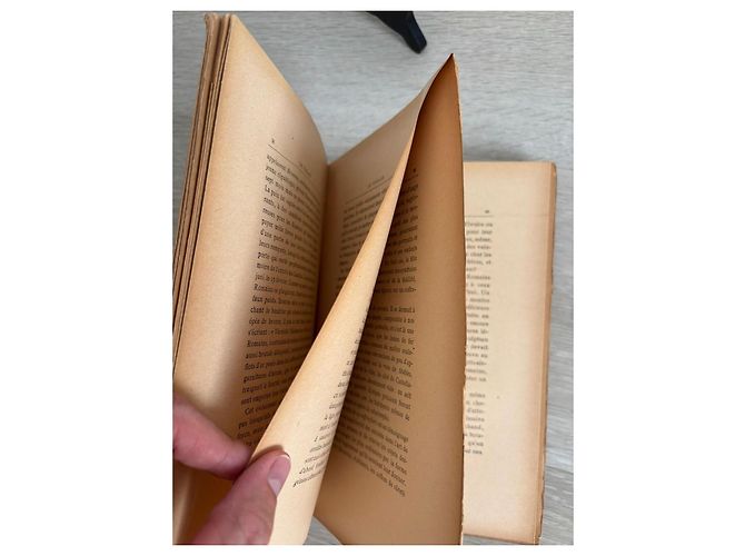 Louis Vuitton Fils Livre Le Voyage Édition 1894 Marron Multicolore Beige - vue 9