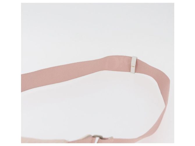 Borsa a tracolla Christian Dior Trotter Canvas Rosa Argento Auth bs35231 - vista 14