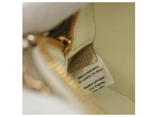 Bolso de hombro Christian Dior Canage Chain de piel Oro Auth 181440SM Dorado - vista 11