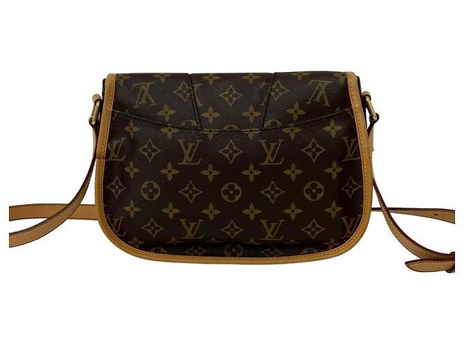 Borsa a tracolla Louis Vuitton Menilmontant PM in pelle monogramma Marrone - vista 3