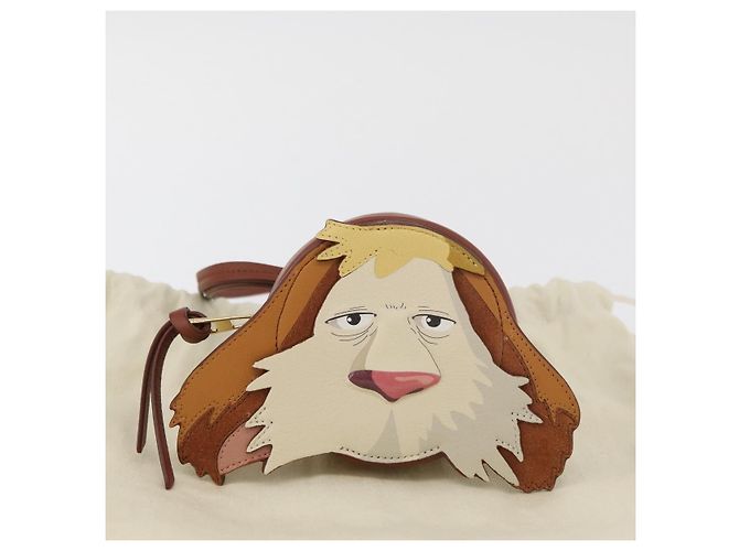LOEWE Studio Ghibli Cookie Pouch Hin Howl's Moving Castle Auth 167366SM Marrone - vista 12