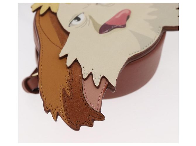 LOEWE Studio Ghibli Cookie Pouch Hin Howl's Moving Castle Auth 167366SM Marrone - vista 14