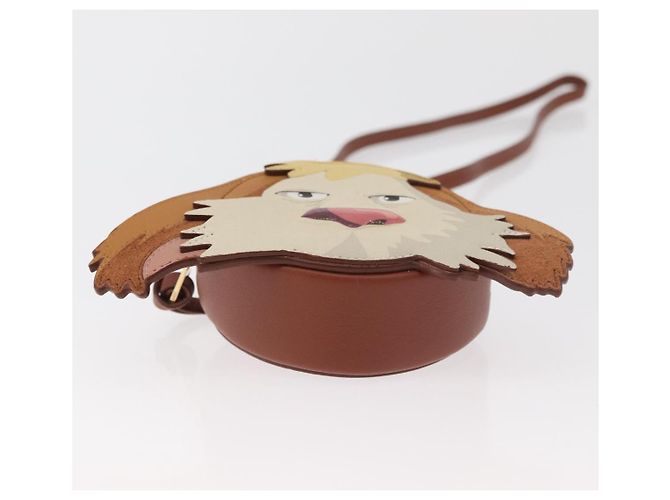 LOEWE Studio Ghibli Cookie Pouch Hin Howl's Moving Castle Auth 167366SM Marrone - vista 5