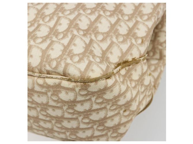 Borsa Christian Dior Trotter Canvas Chain Romantic in PVC Rosa Argento Auth 181736 - vista 15