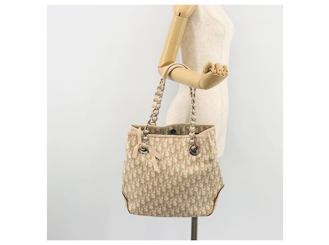 Borsa Christian Dior Trotter Canvas Chain Romantic in PVC Rosa Argento Auth 181736 - vista 23