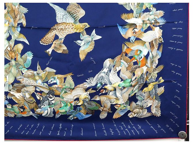 Hermès NUOVO FULLETTO HERMES L'INTRUS DE JACQUELOT CARRÉ 90 BLU SETA Blu navy - vista 4