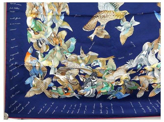Hermès NUOVO FULLETTO HERMES L'INTRUS DE JACQUELOT CARRÉ 90 BLU SETA Blu navy - vista 5