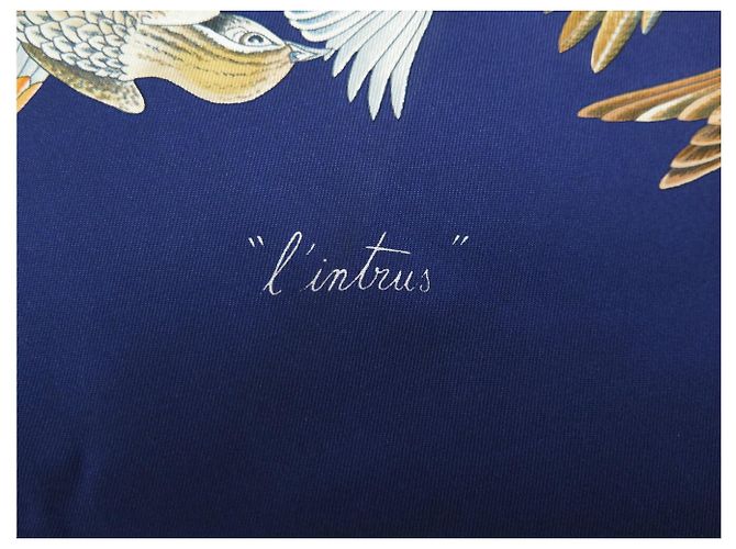 Hermès NUOVO FULLETTO HERMES L'INTRUS DE JACQUELOT CARRÉ 90 BLU SETA Blu navy - vista 6