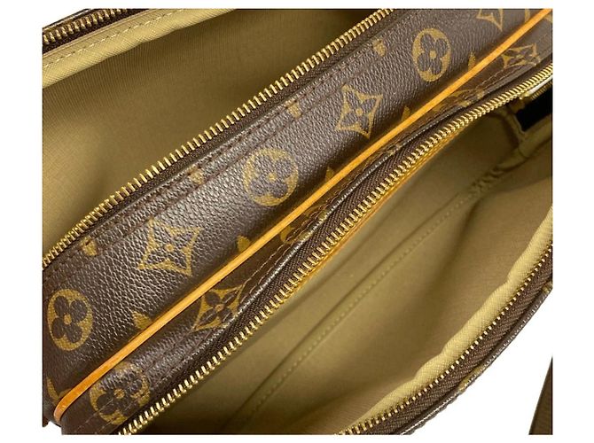 Louis Vuitton Reporter PM Castaño Dorado - vista 6
