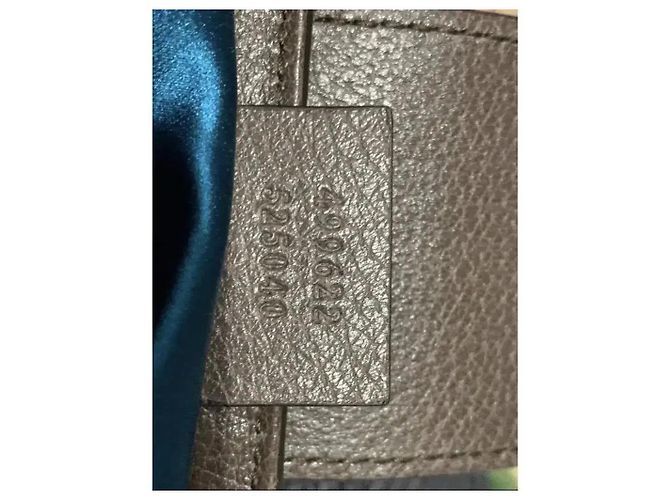 Gucci Dionysus GG Supreme Piccola Borsa a Secchiello Marrone Monogramma - vista 14