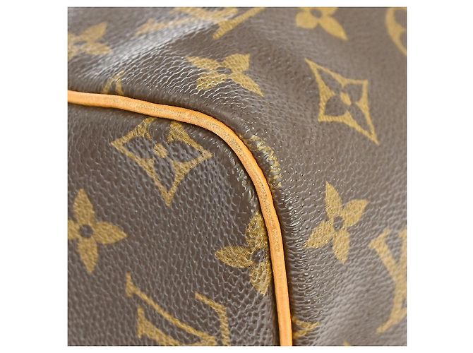 Louis Vuitton Speedy Monogram Canvas 40 Marrone - vista 6
