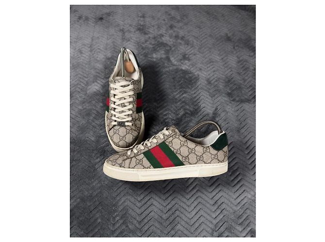 Gucci Ace Sneaker GG Supreme Canvas Rot Beige Grün - Ansicht 2