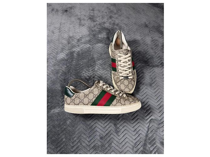 Gucci Ace Sneaker GG Supreme Canvas Rot Beige Grün - Ansicht 3