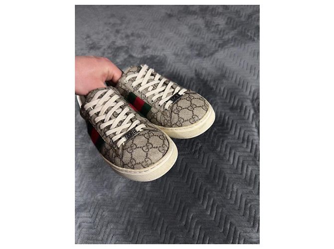 Gucci Ace Sneaker GG Supreme Canvas Rot Beige Grün - Ansicht 4