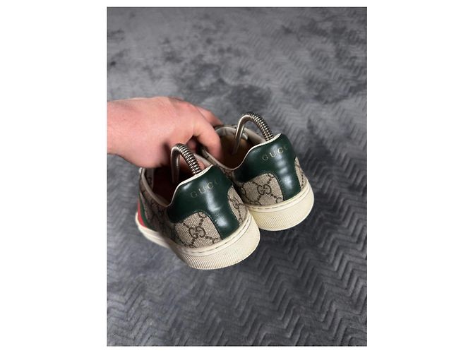 Gucci Ace Sneaker GG Supreme Canvas Rot Beige Grün - Ansicht 5