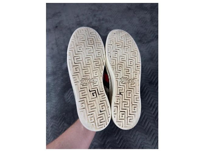 Gucci Ace Sneaker GG Supreme Canvas Rot Beige Grün - Ansicht 6