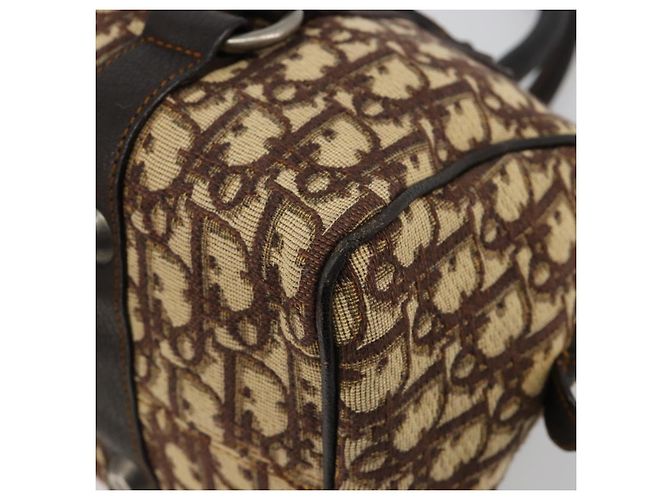 Borsa Christian Dior Trotter Canvas Marrone Argento Auth 181890V - vista 15
