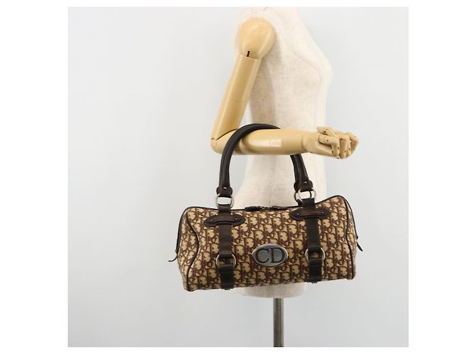 Borsa Christian Dior Trotter Canvas Marrone Argento Auth 181890V - vista 25