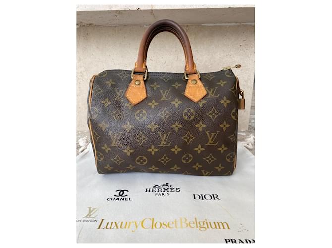 Louis Vuitton Speedy 25 Monogram Marrone - vista 2