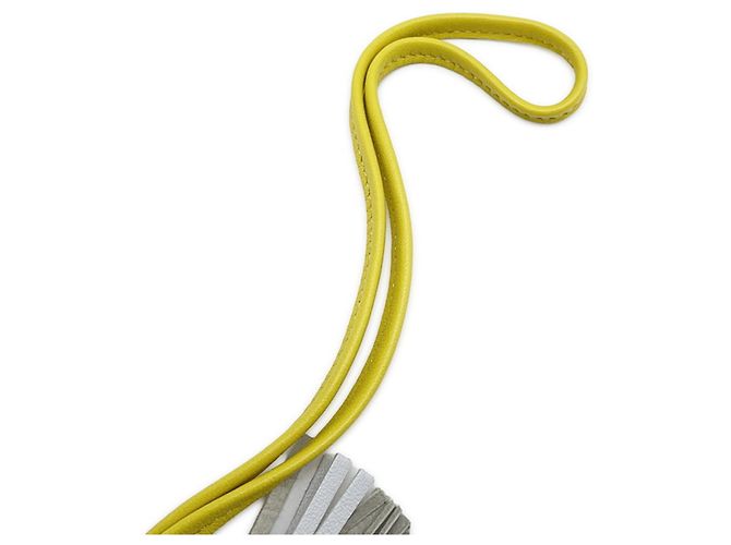 Hermès Charm per borsa Hermes Rodeo PM in Lime e Blue Brume D'oro - vista 5