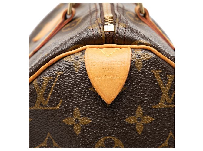 Louis Vuitton Marrone Monogram Speedy 30 - vista 6