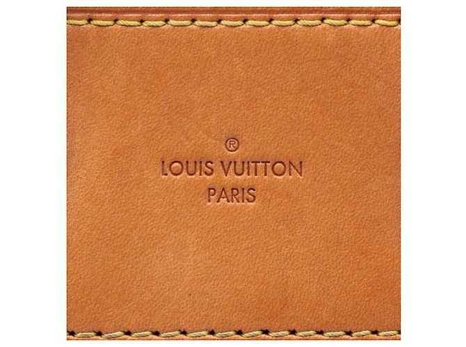 Louis Vuitton Marrone Monogram Eden PM - vista 5