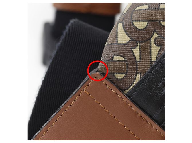 Marsupio Burberry TB Monogram Stripe E Canvas Marrone - vista 11