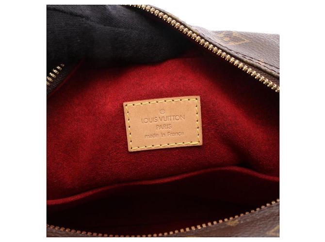 Borsa Louis Vuitton Excentricite Monogram Marrone Monogramma - vista 4