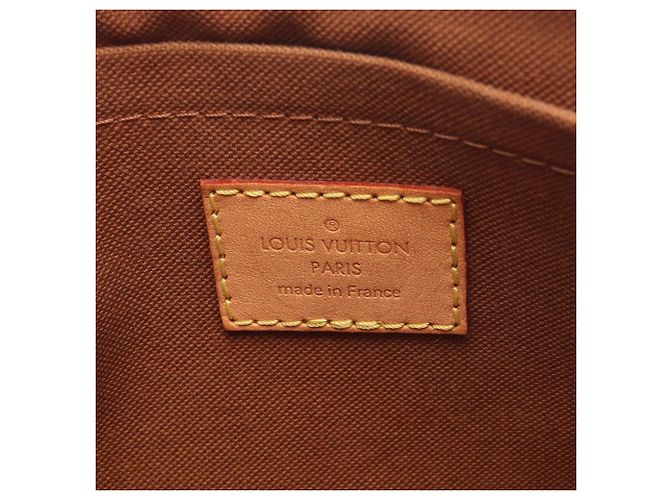 Borsa a tracolla Louis Vuitton Multi Pochette Accessoires Marrone Cachi - vista 4